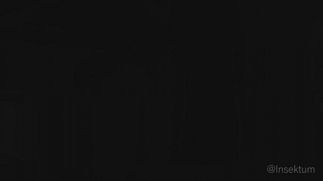 Kasumi's Secret Part 2 (Insektum) [Dead or Alive]