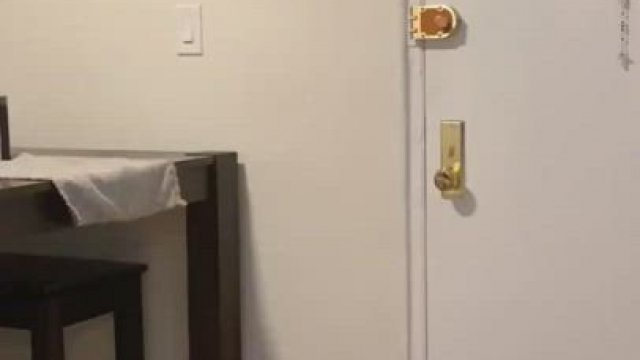 Pizza Dare with tailplug