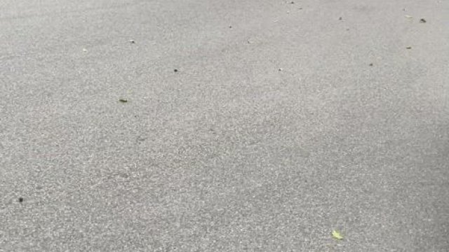 It was so windy but that doesn’t stop me flashing my titties! [GIF]