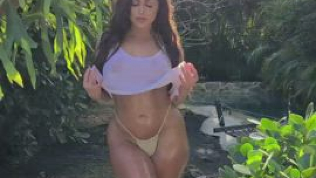 Breeding Material Free Album