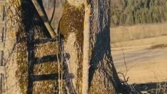 He lets her squirt on a high seat [GIF]