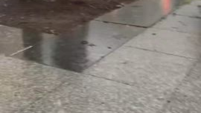 if aoc came home soaked I would dry her with my tongue.