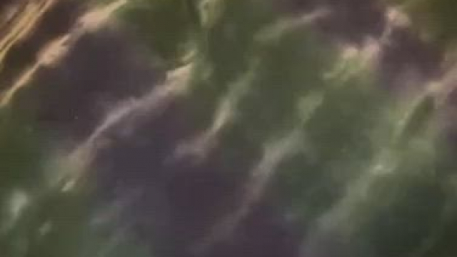 Reveal. Suck on them?