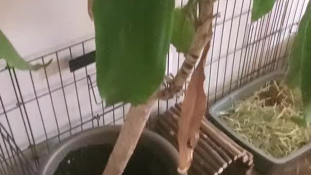 This is what yall wanted to see I believe