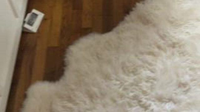 Please excuse my bedhead this morning