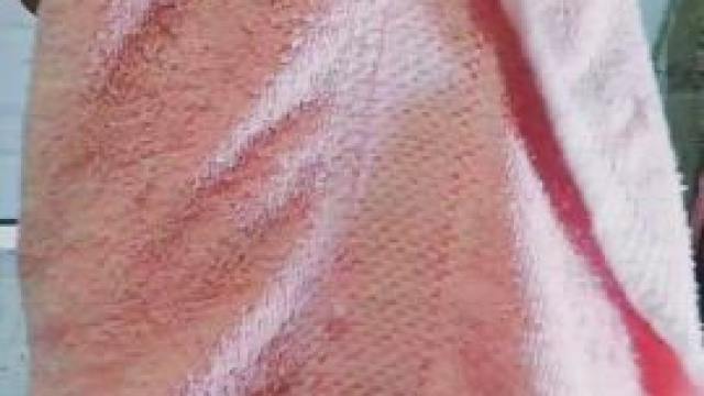 I'm new to small lover community. Please be kind