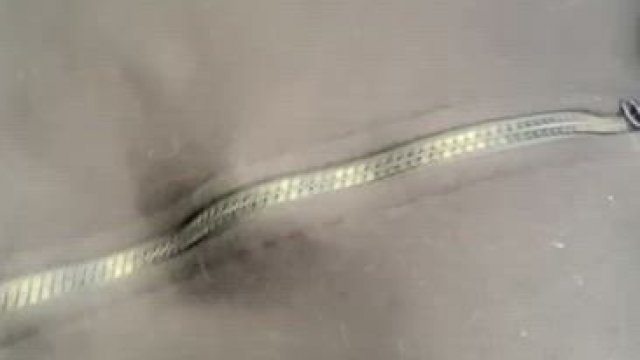 Flashing my big tits is so much fun