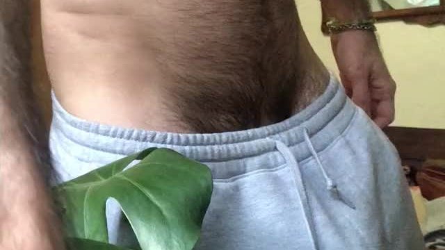 Play with me and my houseplants