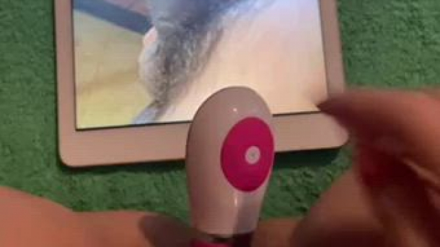 I love squirting but my iPad is not a fan