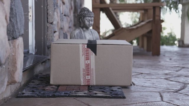 Eliza Ibarra and Angelica Cruz - Introducing Her New GF to Strapon Pleasures