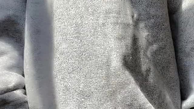 It’s really cold in Canada... but that won’t stop me from showing you my tits 