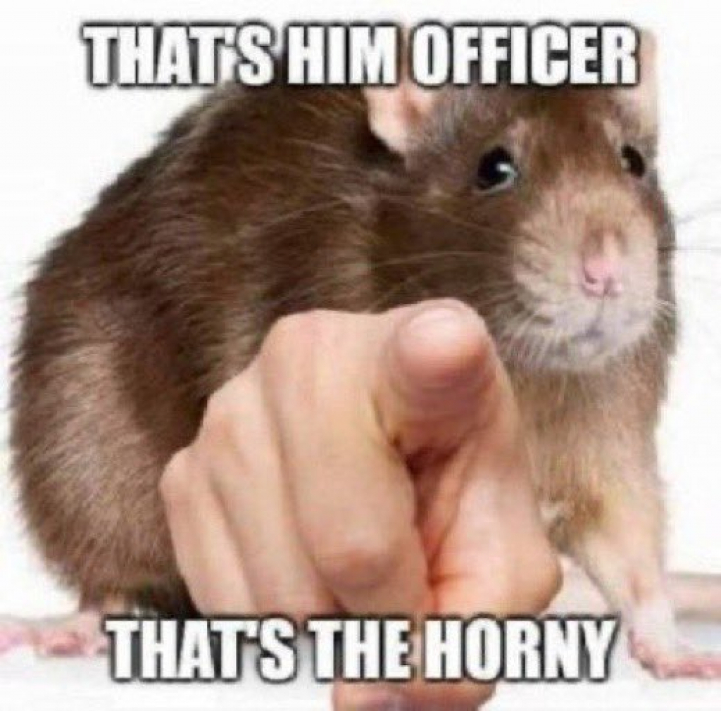 stop hormy plz