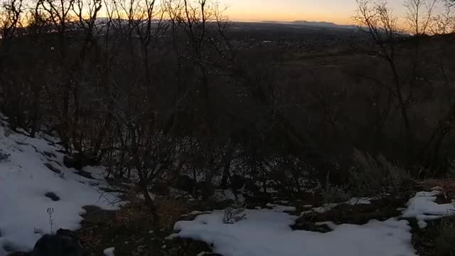 Sunset Blowjob On The Hiking Trail