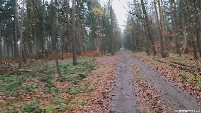 Like to earn such a load