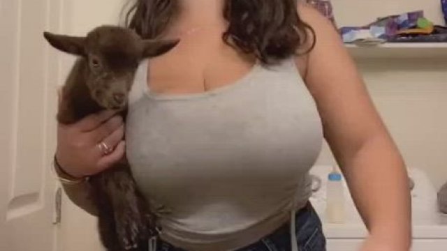 Plenty of milk on the farm