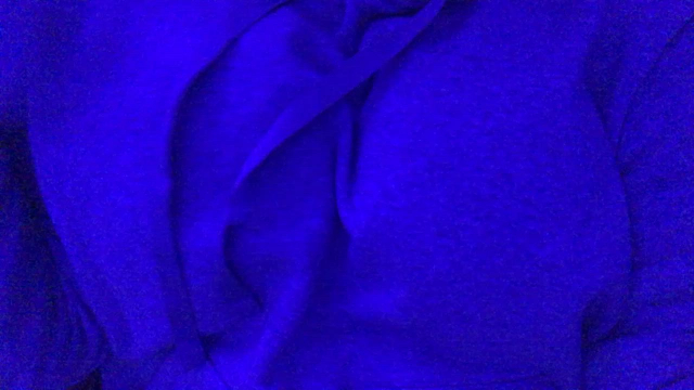 brought them out of hiding