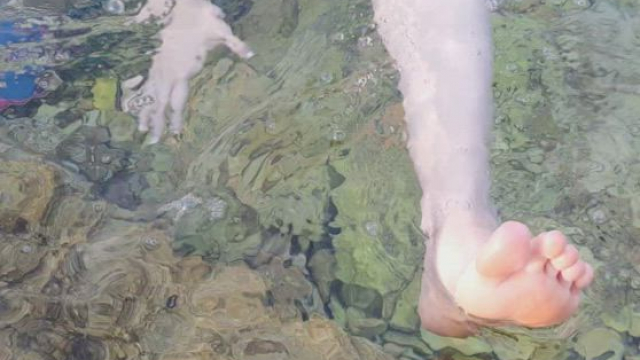 Family vacations can be fun too... [gif]