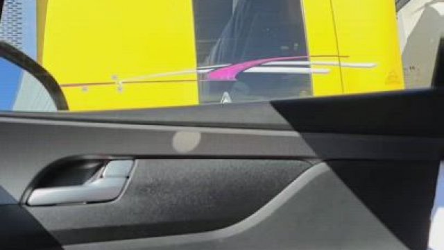 One of the better reactions from 1 of the 83 truckers I flashed! [OC]