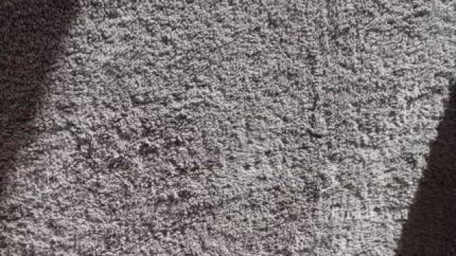 A little towel drop for your Wednesday