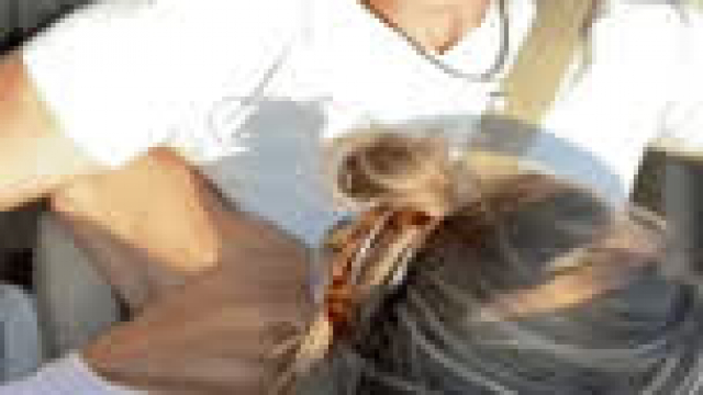 Really Nice Watch & Go on the Link in Comments for Full Video