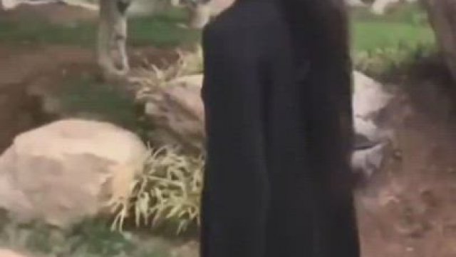 Asian chick in the park [GIF]