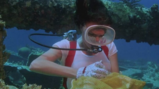 Jacqueline Bisset from 