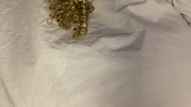 I heard you guys like surprises?