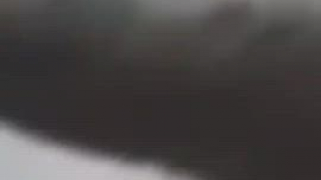 2 fingers returns home after a long journey