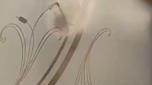 Come fuck me in the shower