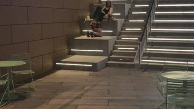 If you see us, promise you won't tell