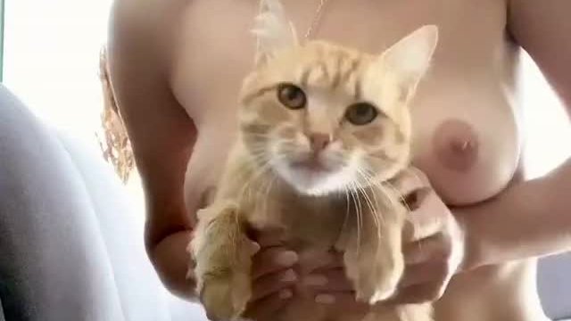 They say that on Reddit they love two things the most: they are boobs and cats:)