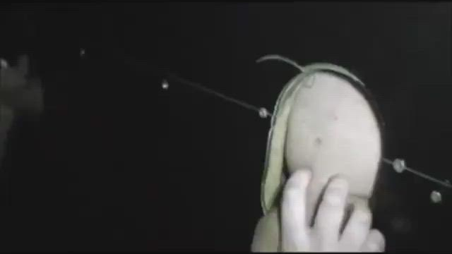 Little penis cums quick