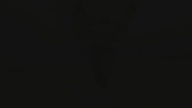 thought you guys would appreciate this outfit ;)