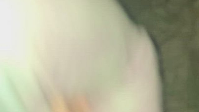 Long Walks on the Beach