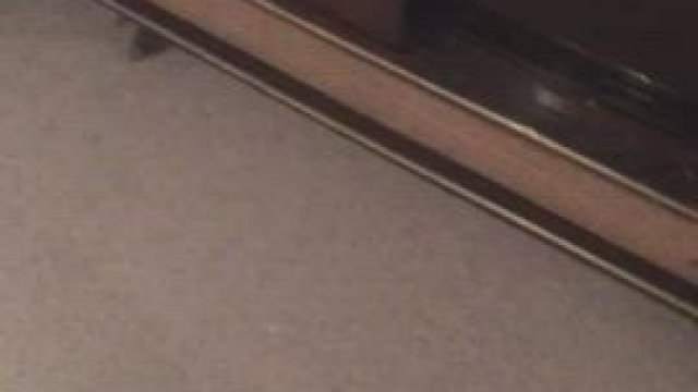 When your bull requests a school girl outfit