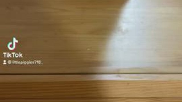 When you realize you do walk around the mirror and look at your booty