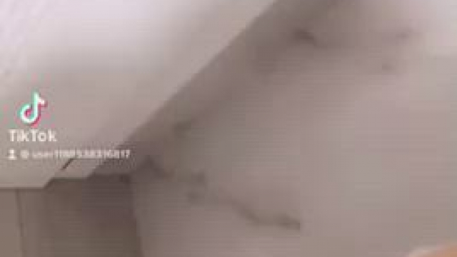 Upvote if your dick is bigger than 3 inches