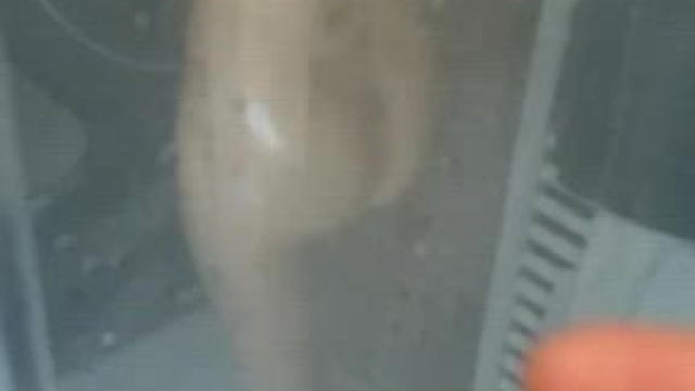 How to go to the shower