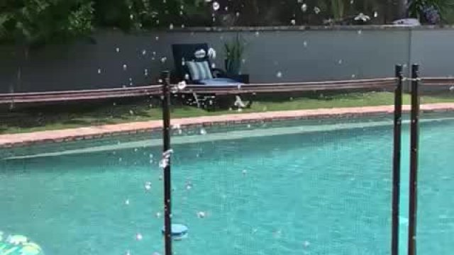 Slowwww Moooooootion Booooobies