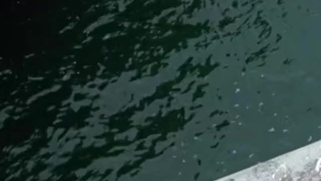 Brooke Burns lean plot in Baywatch