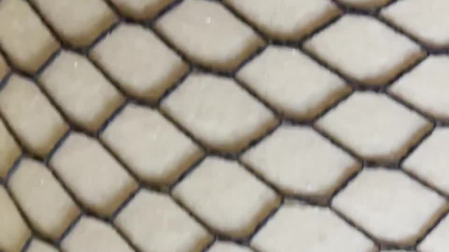 I was tied, my fishnets were on for you, there was nothing I could do other than