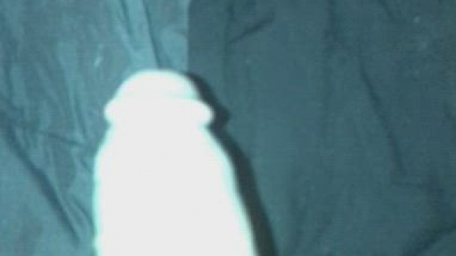 When he calls I come right away