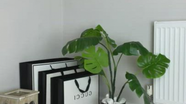 How’s my outfit looking for today?