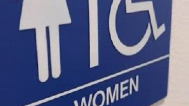 Masturbating with a dildo in a public restroom