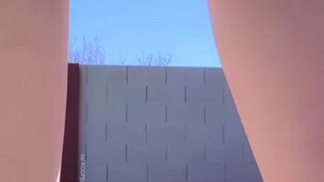 Now all I need is someone to max out my vibe [gif]