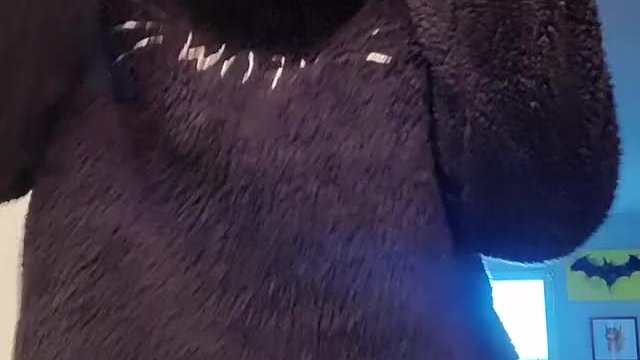 WAIT FOR IT (free content in the comments )