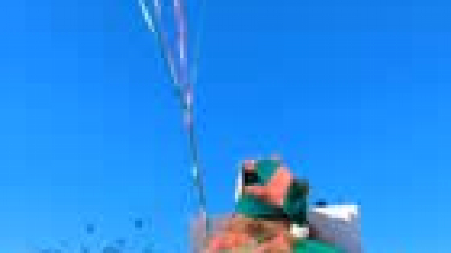 Your Cougar on a Shelf has arrived