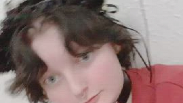 Short hair kitties are beautiful too!