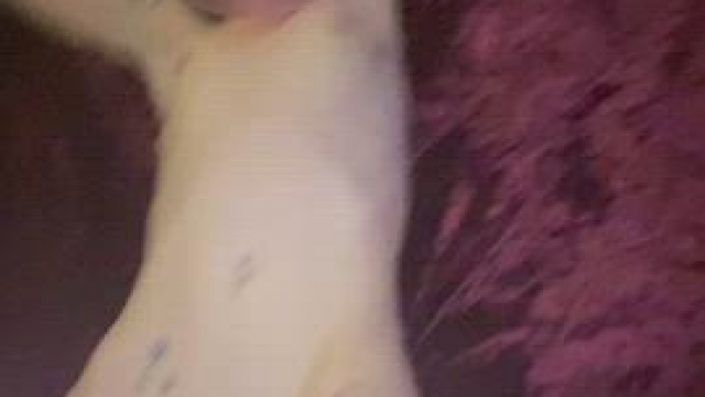 I love fucking skinny sluts with tiny tits. They are so sexy and listen so well.