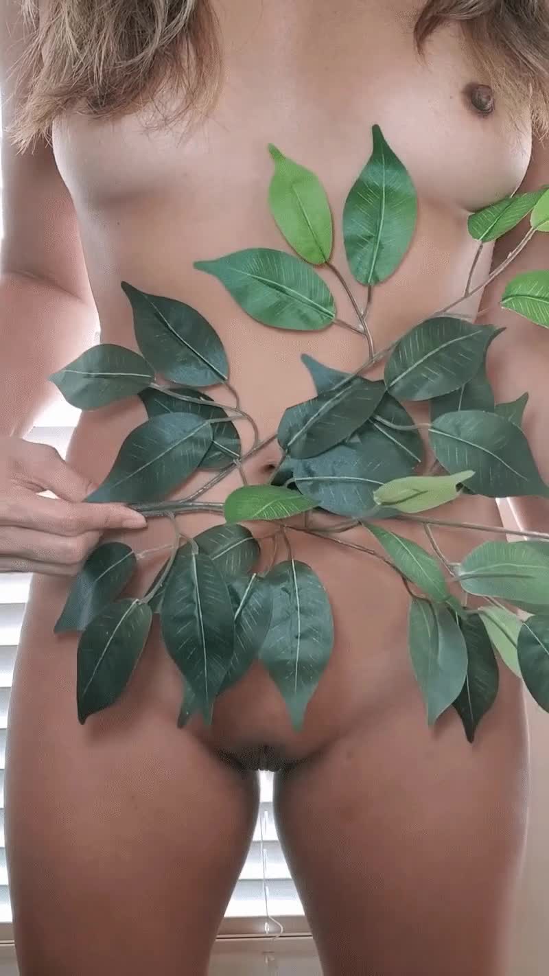 A little bellybutton dance for you